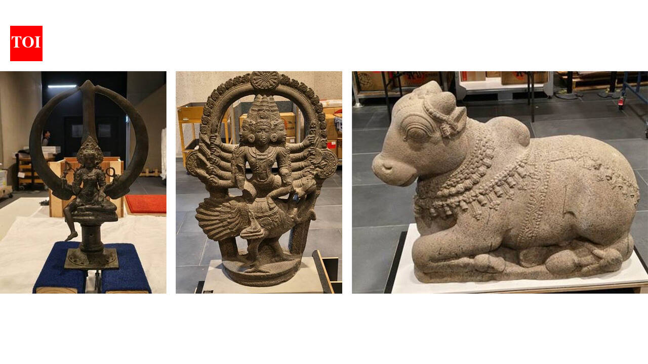 ‘No One Would Have Thought There Was So Much Of Human Remains In Museums’