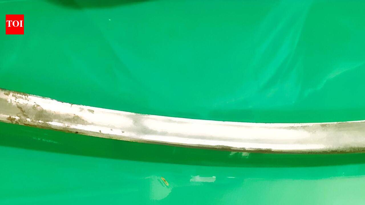 Gold-hilted sword gifted by Shah Jehan surfaces in Gyan Bharatam Mission survey in MP