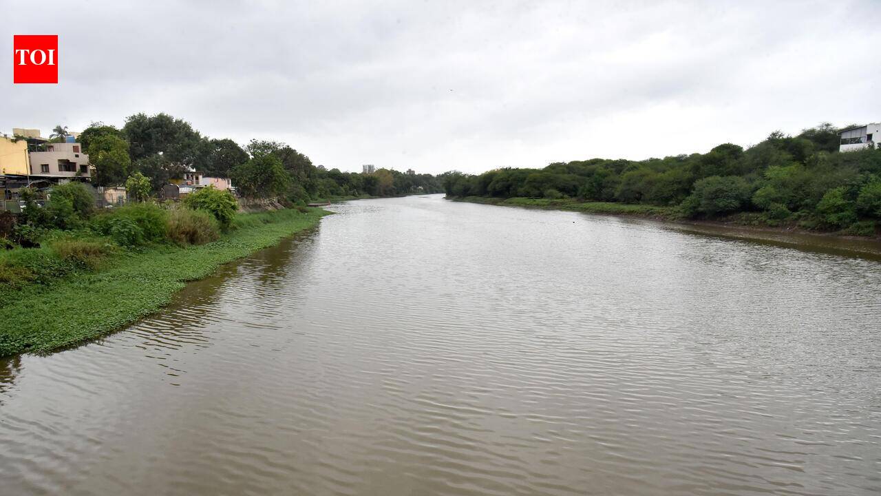 Move to encroach upon Thattakkattupuzha River foiled