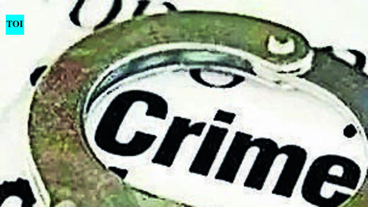 TVK MLA-led group attacks journalists in Sholinghur