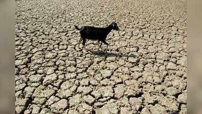 44% deficit in monsoon, 28% sowing completed in Shivamogga district: DC