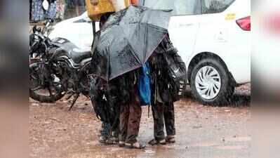 Goa reaches 50-inch rainfall mark after 58 days