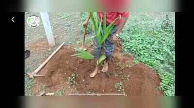 Arecanut growers turn to scientific farming for better yields