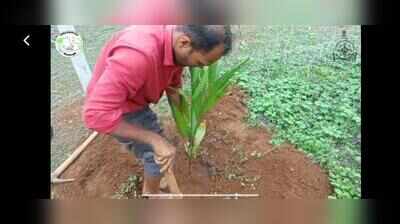 Arecanut growers turn to scientific farming for better yields