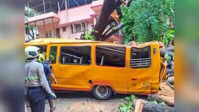Demand grows for re-inquiry into fatal Chembur tree crash after BMC report rejected