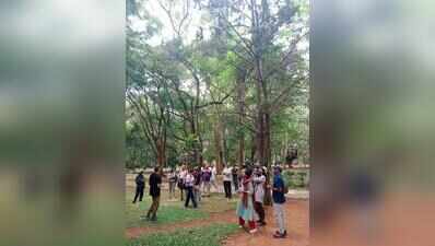 One year on, Bengaluru’s Cubbon Walks completes 100 guided tours