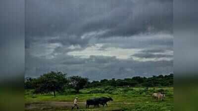 Maharashtra monsoon deficit shrinks to 4% amid rain revival; triple-digit showers continue in ghats