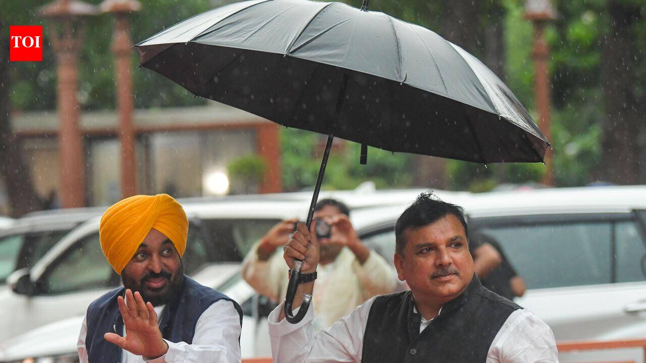 Donation theft: SIT ignored land deal proof, AAP will move HC, says Sanjay Singh