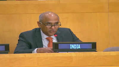 'Deeply concerning': In UNSC, India strongly condemns attacks on commercial ships near Hormuz