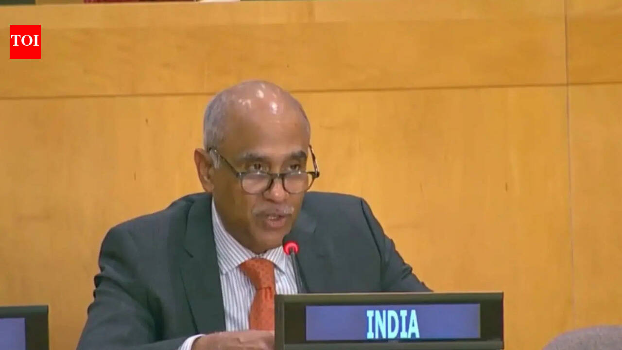 In UNSC, India strongly condemns attacks on commercial ships near Hormuz 