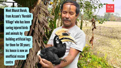 Meet Bharat Borah, from Assam's 'Hornbill Village' who has been saving injured birds and animals by building artificial legs for them for 30 years; his house is now an unofficial rescue centre