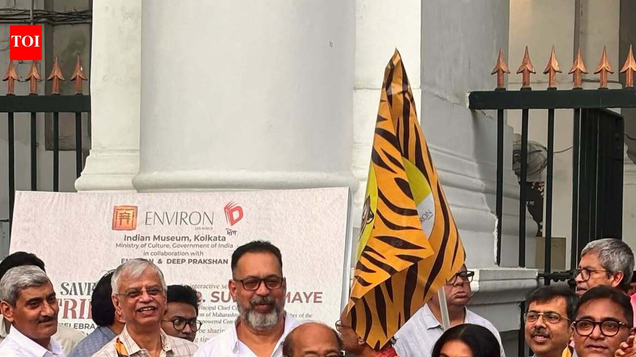 Tiger taxis roll out in the city to promote wildlife conservation