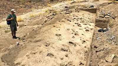Ancient footprints found in Kenya reveal how early human relatives may have travelled and lived together 1.43 million years ago