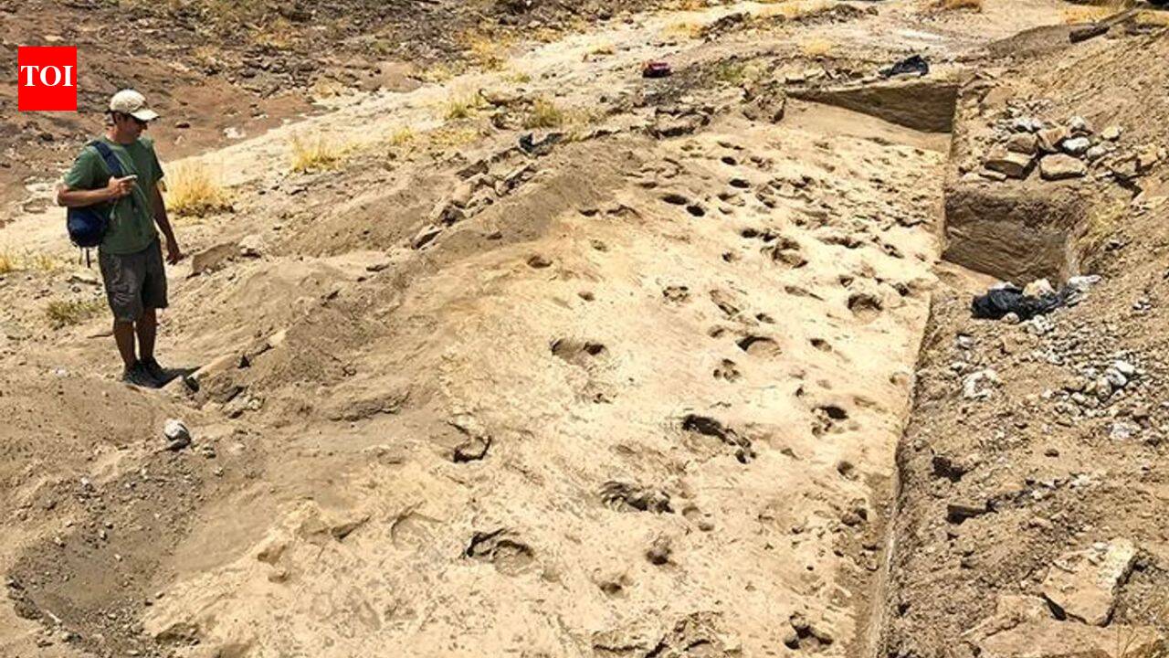 Ancient footprints found in Kenya reveal how early human relatives may have travelled and lived together 1.43 million years ago