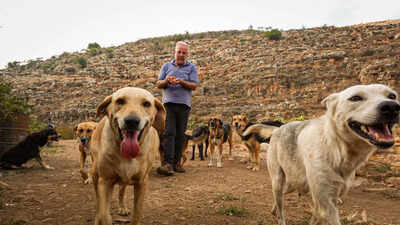 Houssein Hamze’s rescued dog pulled him from bed moments before a bomb struck in 2006; when war returned, he refused to leave Lebanon’s abandoned animals