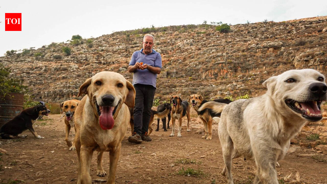 In 2006, a rescued dog saved Houssein Hamze from a bomb; in 2026, he refused to flee Lebanon and stayed to care for hundreds of animals