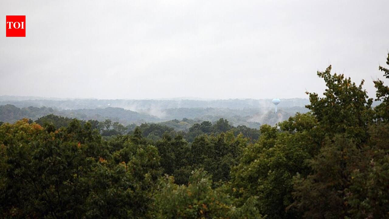 Ohio planted nearly 7.2 million trees on more than 5,500 acres of abandoned mines; barren ground began turning back into forest