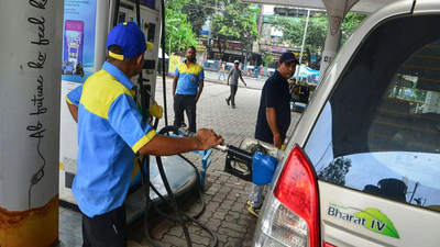 E20 petrol and vehicle mileage: What Nitin Gadkari said amid growing concerns