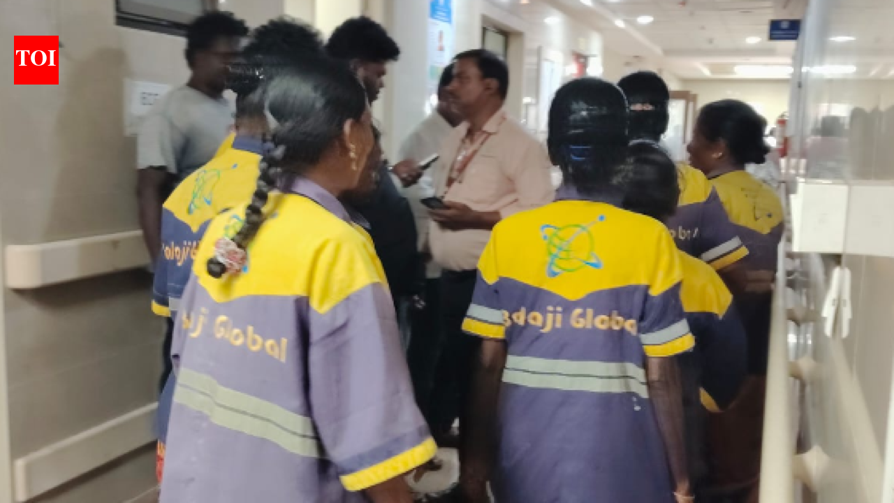 More than 100 Avadi sanitation workers rushed to hospital after dead lizard found in sambar