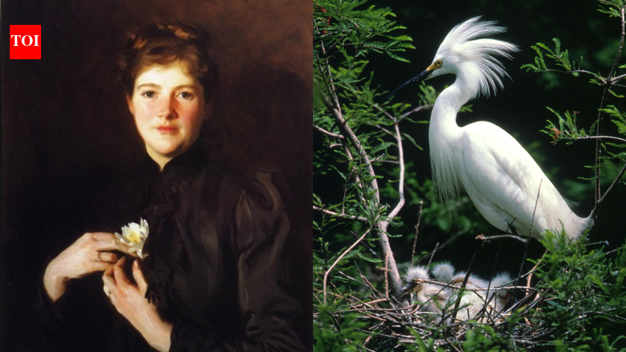 Twenty-four years before American women could vote, two Boston cousins used afternoon teas to fight the feather trade; about 900 women joined their boycott