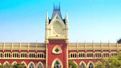 Voter card, Aadhaar, bank a/c, PAN not citizenship proof: Calcutta high court