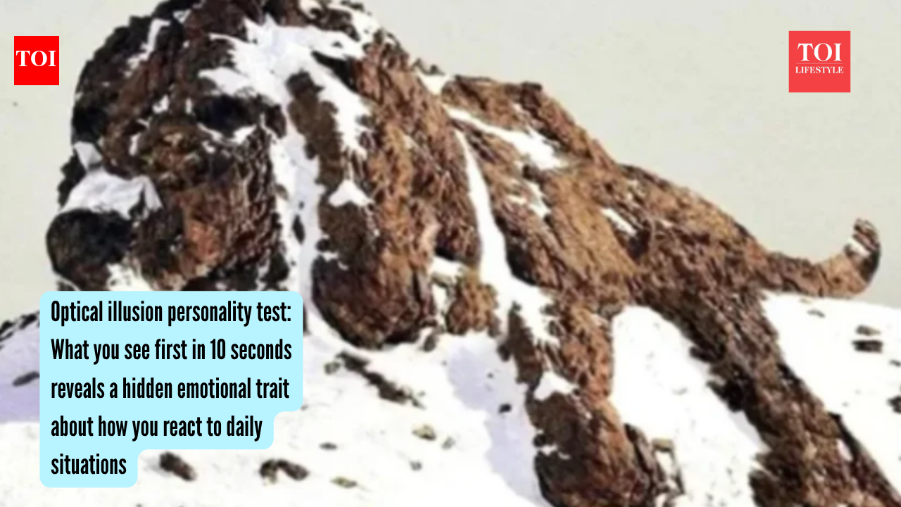 Optical illusion personality test: What you see first in 10 seconds reveals a hidden emotional trait about how you react to daily situations