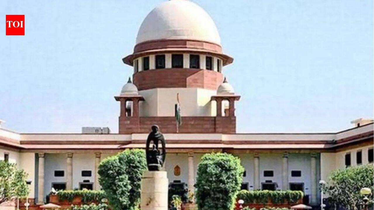 SC grants bail to two alleged Indian Mujahideen operatives after 12 years