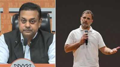 'Was given a full opportunity': BJP counters Rahul's 'not allowed to speak' claim in Lok Sabha