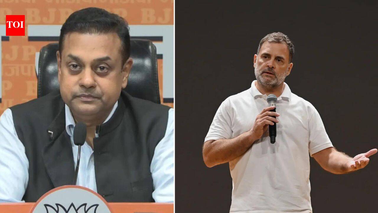 'Was given a full opportunity to speak': BJP counters Rahul's 'not allowed to speak' claim in Lok Sabha