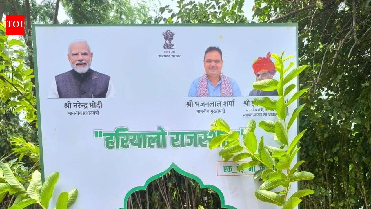 Buy subsidised saplings on JDA’s ‘Pay for Plant’ portal