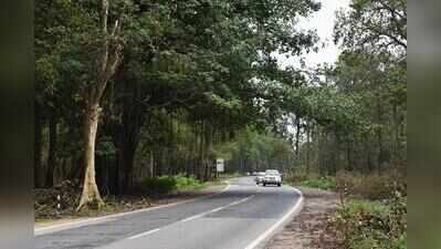 Land acquisition delays keep Karamana–Kaliyikkavila road widening in limbo; tender for Balaramapuram–Vazhimukku stretch yet to be floated