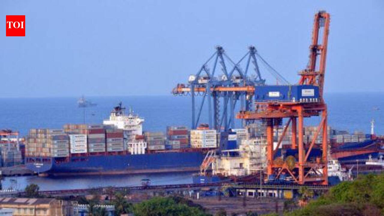 Vizag Port handled half of India’s marine exports in 2025