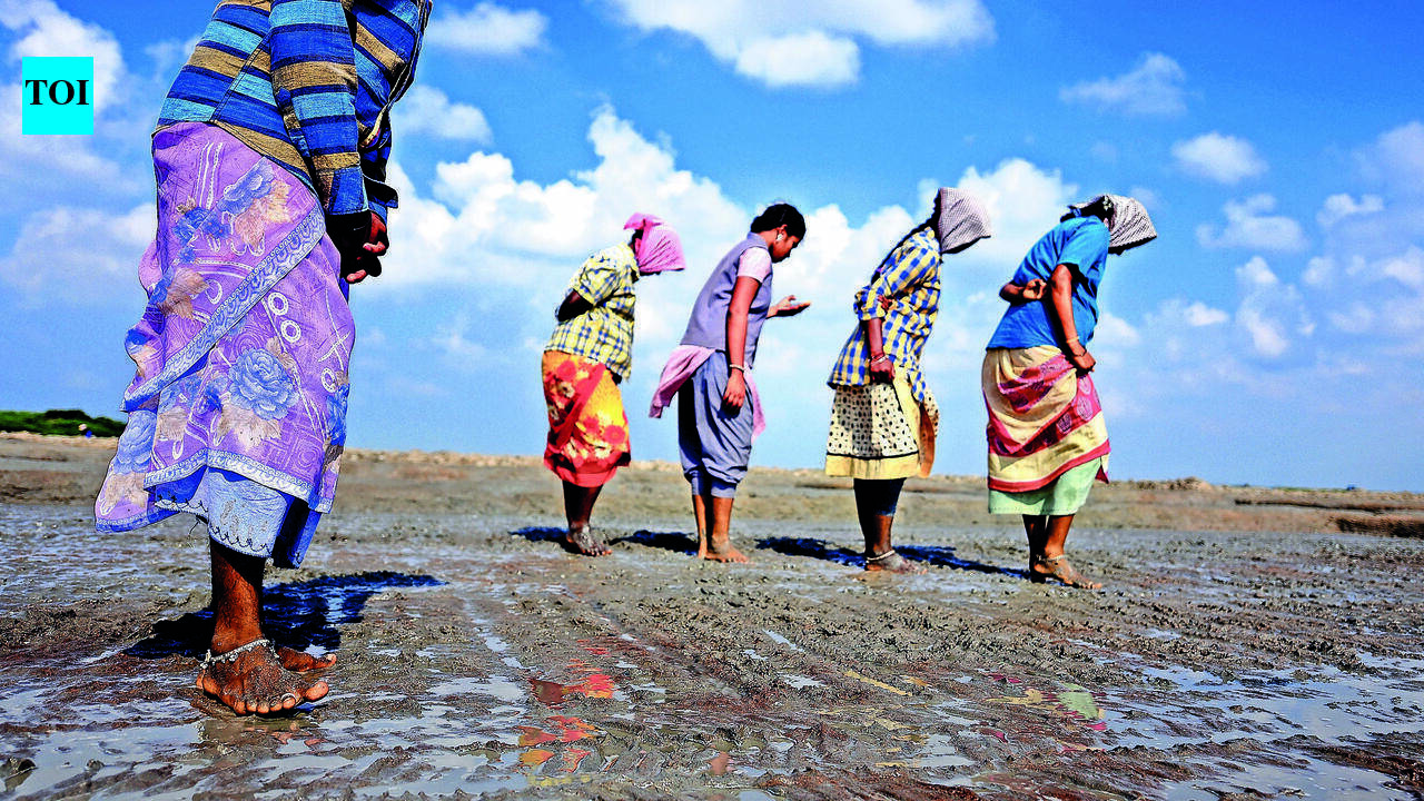 Rural Tamil Nadu Heat Exposure Raises Miscarriage Risk, Study Finds