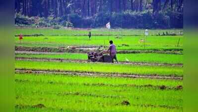 Despite nod to ambitious agri policy, gaps remain on sewage, road access