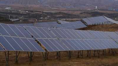 Two solar farms in Minnesota restored native wildflowers and proved beneficial for bees, butterflies proving to scientists what everyone got wrong