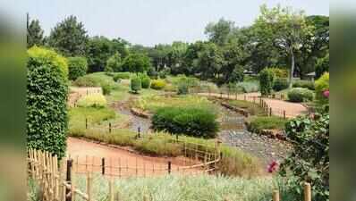 Tree inspector, three others booked for cutting and stealing tree from PL Deshpande Garden
