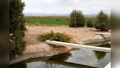 Punjab launches canal irrigation projects worth Rs 27-cr in Ghanaur