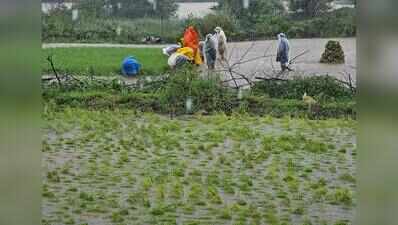 As details of tax-paying farmers emerge, loan waiver beneficiaries reduce by 1.4 lakh