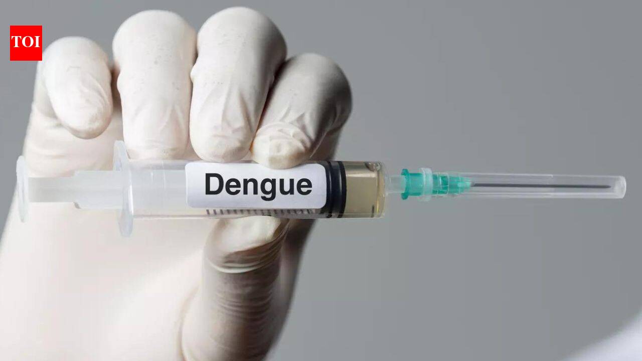 Ahead of dengue vaccine rollout, all 4 strains found in circulation