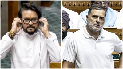 Rahul Gandhi remarks row: BJP hits back, calls Congress MP's claim 'a pack of lies'