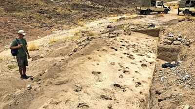 Has gender divide always existed in society? Million-year-old footprints reveal surprising answer