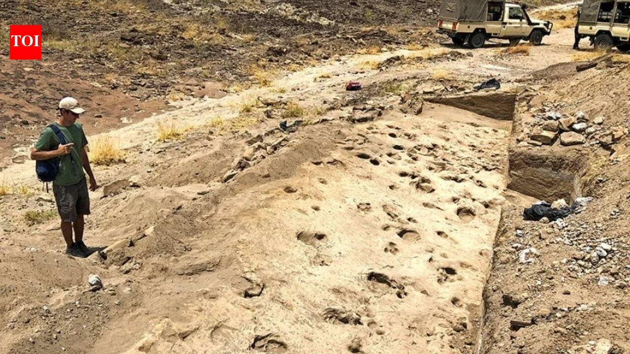 Has gender divide always existed in society? Million-year-old footprints reveal surprising answer