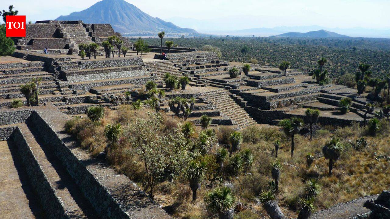 An ancient Mexican city once home to 90,000 people vanished nearly 1,000 years ago. Scientists think a 650-year drought may explain why