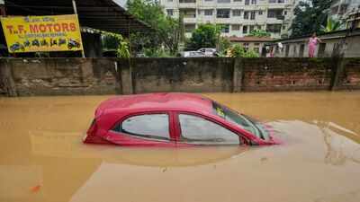 Why electric cars may handle flooded roads better than petrol and diesel vehicles