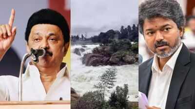 DMK announces protest on August 3 as CM Vijay plans Karnataka visit amid Mekedatu row