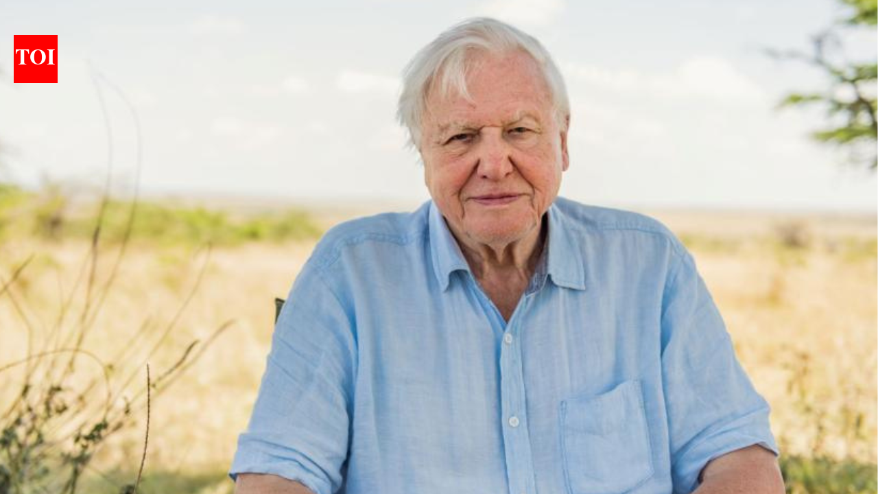 Quote of the day by David Attenborough: 