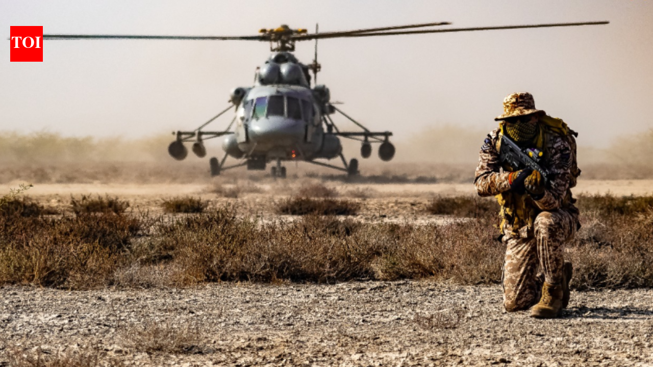 Air force seeks to make Garud Commandos deadlier with loitering munitions