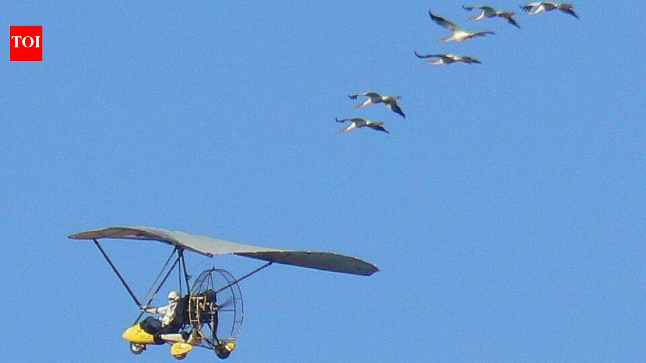 For 15 years, pilots dressed as cranes flew 1,200 miles from Wisconsin to Florida so young whooping cranes would follow them south