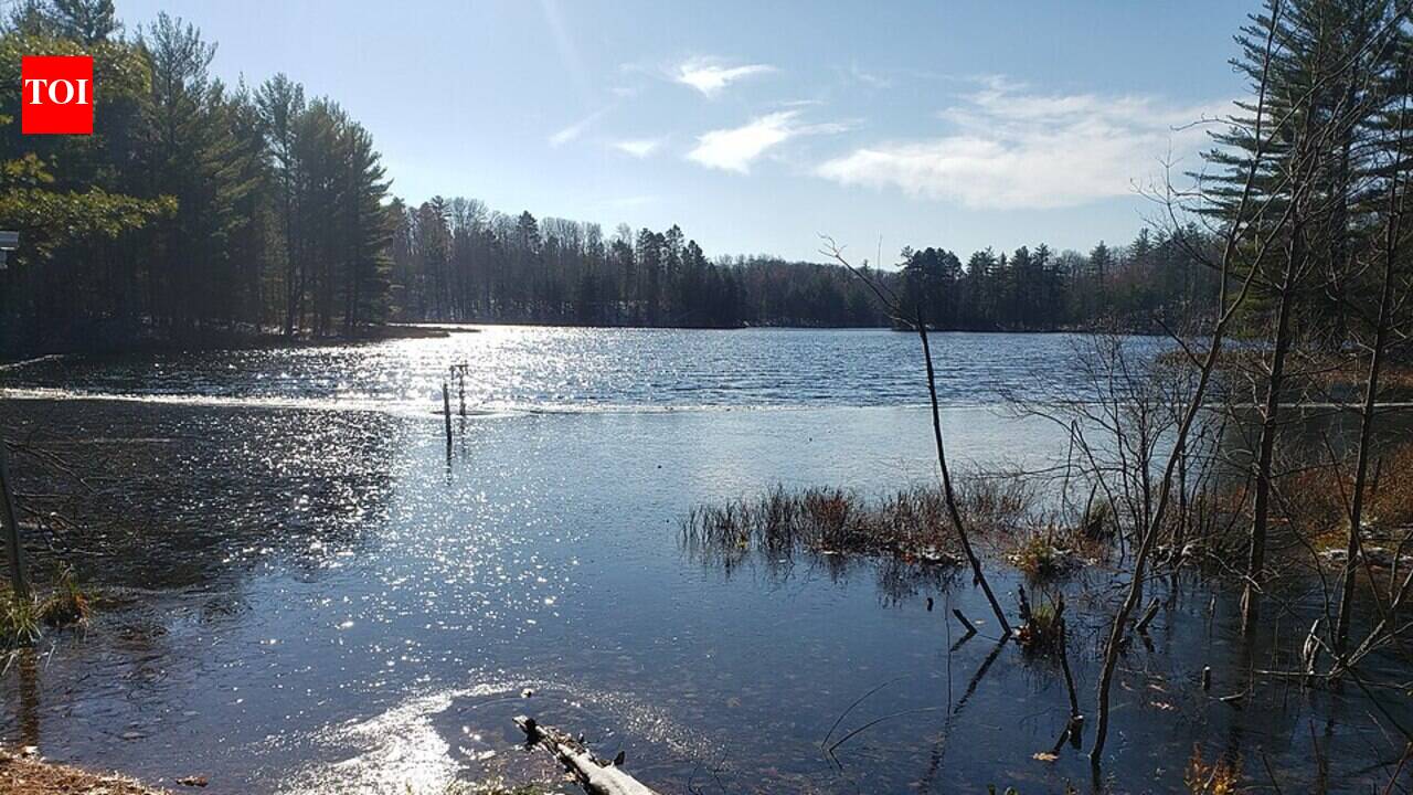 In 1984, Wisconsin scientists divided a lake in half and acidified one side to mimic acid rain; bass stopped reproducing, and the fishery collapsed