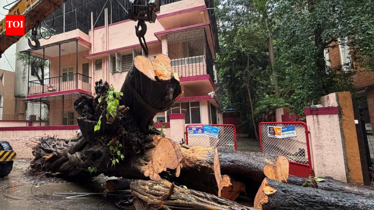 BMC to hold third-party probe into Chembur tree crash death